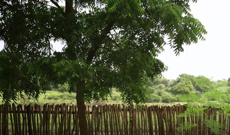 Yala Leopard Lodge Kirinda (Hambantota) Exterior photo